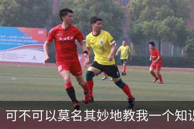 可不可以莫名其妙地教我一个知识? 网友：我的失眠终于有救了