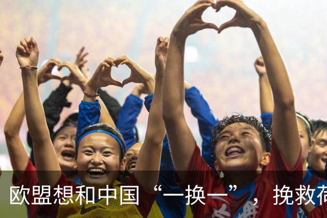 欧盟想和中国“一换一”，挽救荷兰ASML企业，方案大陆未必会同意